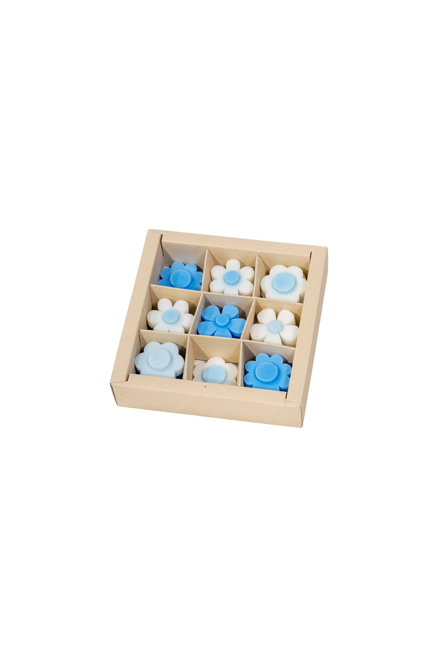 Caja de Waxmelts